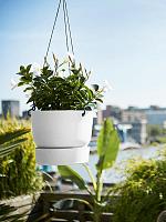 Кашпо подвесное Greenville hanging basket white D24 H21 см Кашпо подвесное Greenville hanging basket white D24 H21 см