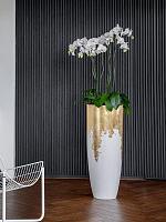 Фаленопсис Tsarine 2 ствола H100 D15 см