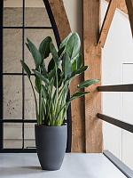 Кашпо Refined ben l volcano black D40 H55 см Кашпо Refined ben l volcano black D40 H55 см