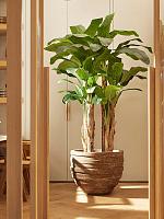 Кашпо Baq polystone coated junar couple rock D70 H56 см