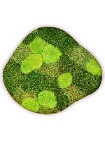 Картина из мха organic frame #2 sand mos (mix) L40 W35 H5 см