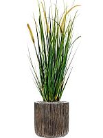 Кашпо Baq luxe lite universe waterfall cylinder bronze D23 H22 см