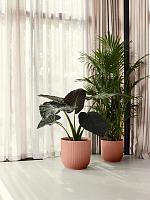 Кашпо Vibes fold round delicate pink D47 H44 см