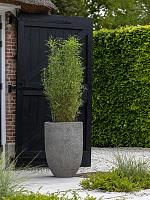 Кашпо Mountain hayes xs dioriet grey D27 H40 см