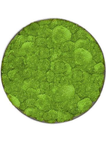 Картина из мха nova frame natural-concrete 100% ball moss Картина из мха nova frame natural-concrete 100% ball moss