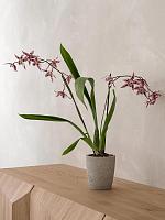 Кашпо Rough gerben s grey washed D12 H13 см