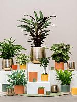 Кашпо Eno duo pot dusty green D13 H13 см