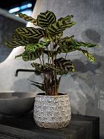 Кашпо Debby pot lavender D15 H14 см