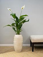 Ваза Kris pot tall ivory D27 H47 см