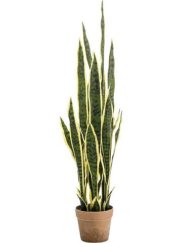 Сансевиерия Лауренти желто-зеленая в горшке искусственная Сансевиерия Лауренти желто-зеленая в горшке искусственная