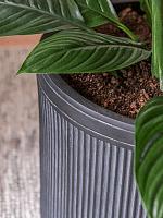 Кашпо Baq vertical rib cylinder anthracite D40 H40 см Кашпо Baq vertical rib cylinder anthracite D40 H40 см