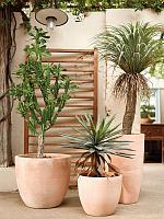 Кашпо Terra cotta couple extra D38 H33 см Кашпо Terra cotta couple extra D38 H33 см