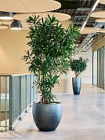 Кашпо Baq gradient balloon matt grey D54 H51 см