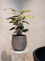 Кашпо Renzo pot shiny grey D15 H13 см