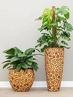 Кашпо Baq facets ageless partner (с техническим горшком) D41 H90 см