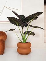 Кашпо Premium amber roll low karamel D60 H46 см