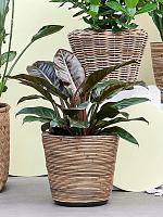 Кашпо Drypot rattan stripe round grey D38 H33.5 см Кашпо Drypot rattan stripe round grey D38 H33.5 см