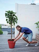 Кашпо Loft urban round with wheels theatre red D39 H35 см Кашпо Loft urban round with wheels theatre red D39 H35 см