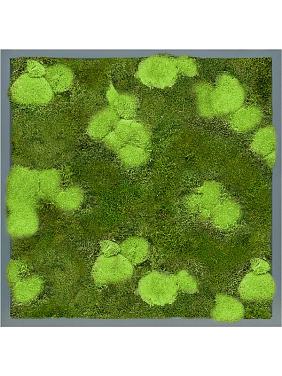 Картина из мха mdf ral 7016 satin gloss 30% ball- and 70% flat moss Картина из мха mdf ral 7016 satin gloss 30% ball- and 70% flat moss