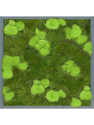 Картина из мха mdf ral 7016 satin gloss 30% ball- and 70% flat moss Картина из мха mdf ral 7016 satin gloss 30% ball- and 70% flat moss