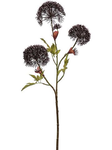 Борщевик цветущий искусственный Борщевик цветущий искусственный