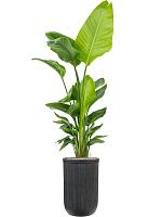 Кашпо Baq vertical rib cylinder anthracite D37 H57 см