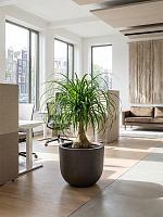 Кашпо Baq seren bond deep mocha D35 H32.5 см