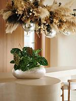 Кашпо Baq metallic silver leaf boat matt light champagne L56 W23 H20 см Кашпо Baq metallic silver leaf boat matt light champagne L56 W23 H20 см