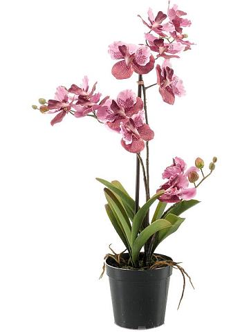 Орхидея Ванда розовая искусственная