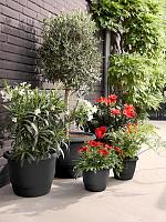 Кашпо Amiga round anthracite D35 H26 см