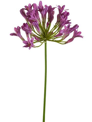 Агапантус фиолетовый искусственный Агапантус фиолетовый искусственный
