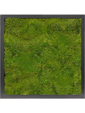 Картина из мха mdf ral 9005 satin gloss 100% flat moss Картина из мха mdf ral 9005 satin gloss 100% flat moss