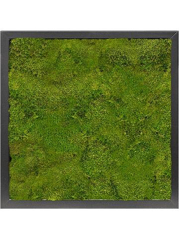 Картина из мха mdf ral 9005 satin gloss 100% flat moss Картина из мха mdf ral 9005 satin gloss 100% flat moss