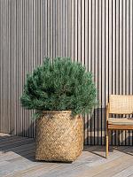 Кашпо Bohemian zayn l bamboo D63 H69 см