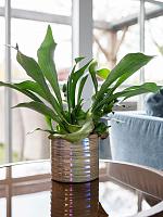 Кашпо Didi pot pearl blue D14 H13 см