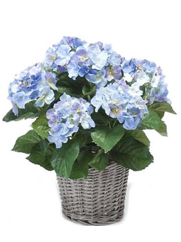 Гортензия синяя в кашпо искусственная Гортензия синяя в кашпо искусственная