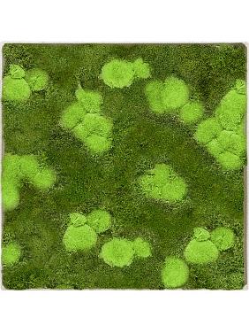 Картина из мха nova frame antique white-concrete 30% ball- and 70% flat moss