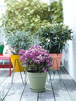 Кашпо Loft urban round with wheels ochre D39 H35 см Кашпо Loft urban round with wheels ochre D39 H35 см