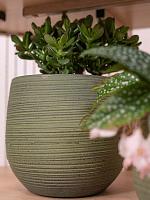 Кашпо Lydia pot shiny green D22 H20 см