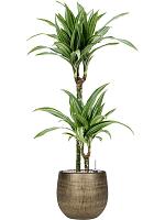 Кашпо Ryan pot shiny gold D26 H26 см