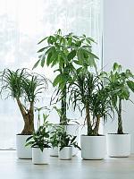 Кашпо B.for soft round white D35 H32 см