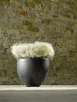 Кашпо Plain couple de luxe anthracite D41 H35 см