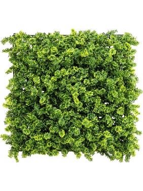 Moss mat (uv)
