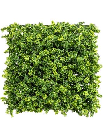 Moss mat (uv) Moss mat (uv)
