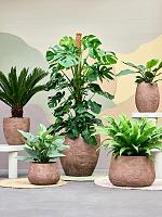 Кашпо Baq algar couple brown D34 H34 см