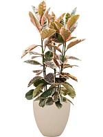 Кашпо Baq polystone plain couple natural (с техническим горшком) D50 H50 см