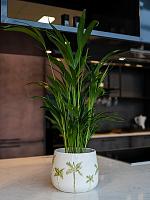 Кашпо Palm pot white D21 H17 см Кашпо Palm pot white D21 H17 см