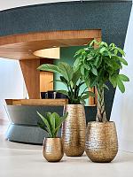 Кашпо Baq opus hammered darcy gold (с техническим горшком) D59 H69 см