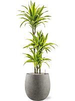 Кашпо Grigio balloon natural concrete D30 H30 см