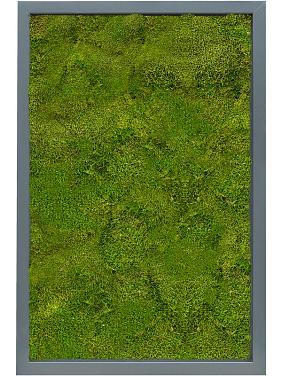 Картина из мха mdf ral 7016 satin gloss 100% flat moss Картина из мха mdf ral 7016 satin gloss 100% flat moss
